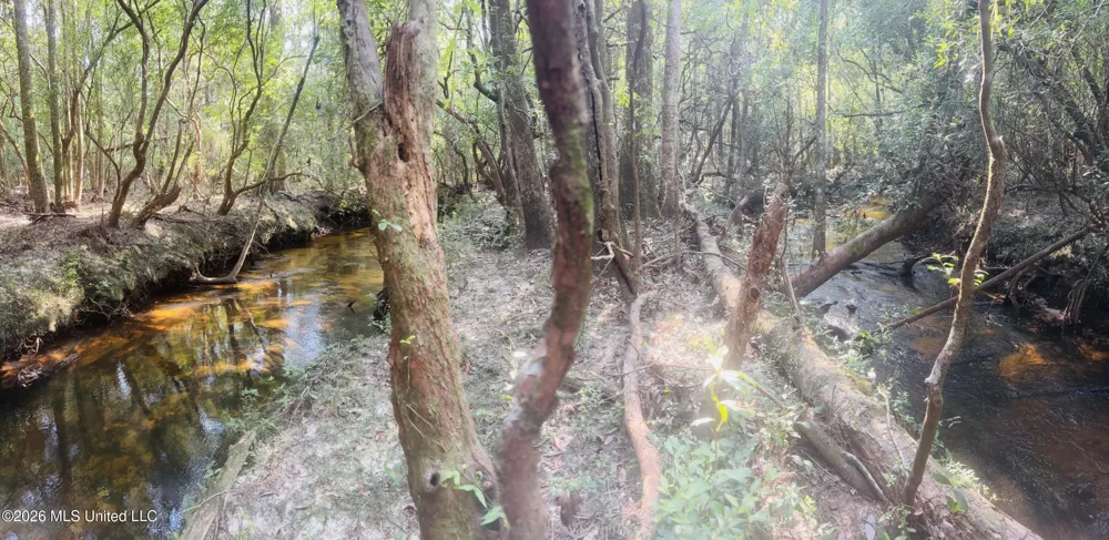 E Beasley Road Lucedale, MS 39452