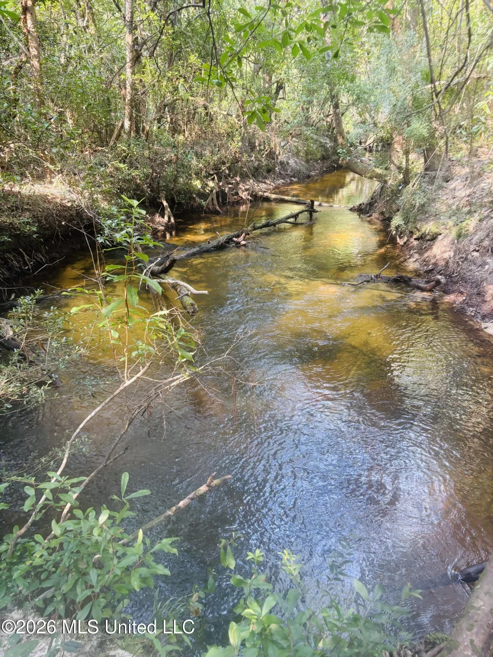 E Beasley Road Lucedale, MS 39452