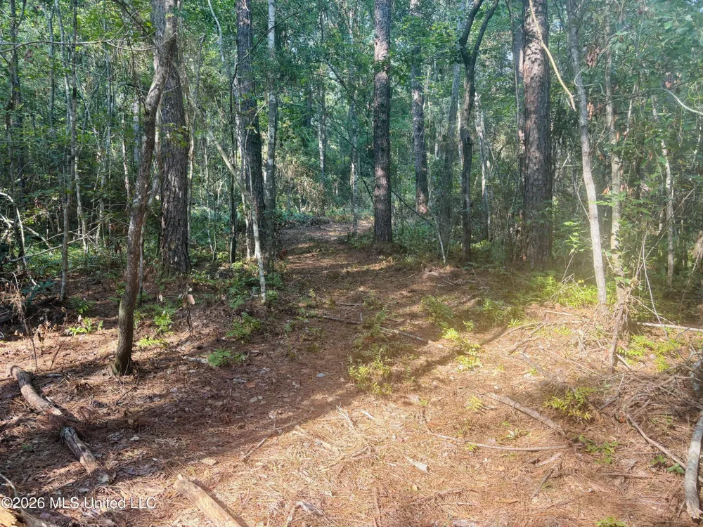 E Beasley Road Lucedale, MS 39452