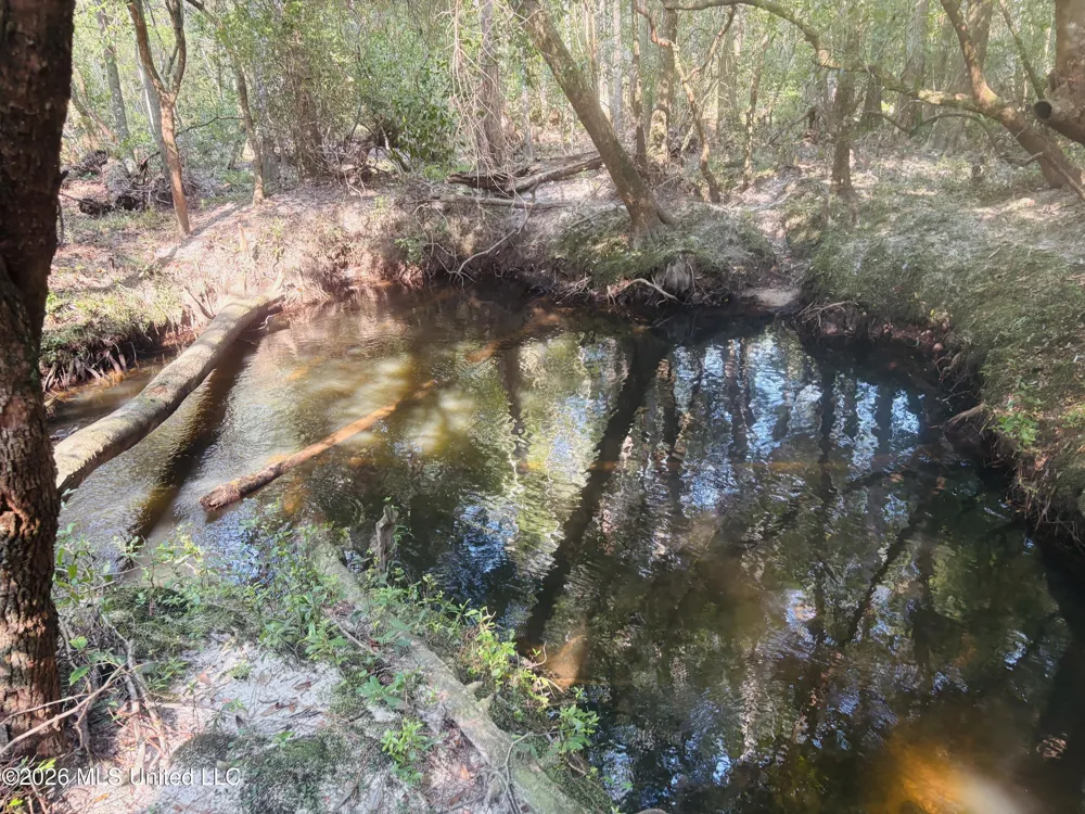 E Beasley Road Lucedale, MS 39452