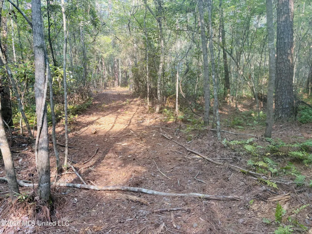 E Beasley Road Lucedale, MS 39452