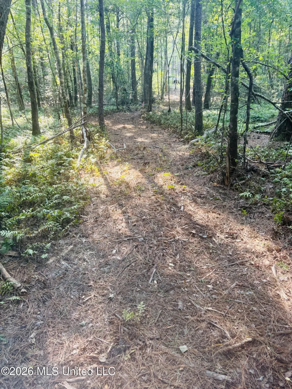 E Beasley Road Lucedale, MS 39452