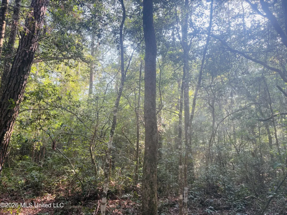 E Beasley Road Lucedale, MS 39452