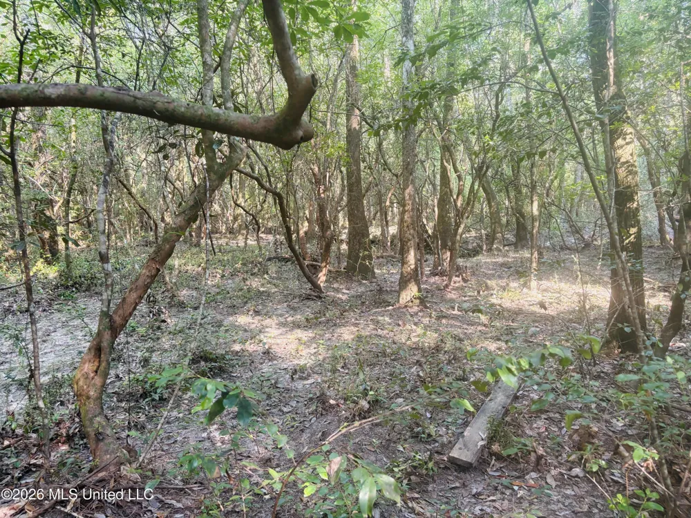 E Beasley Road Lucedale, MS 39452