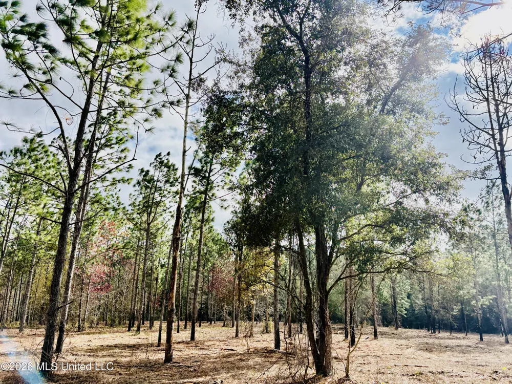 E Beasley Road Lucedale, MS 39452