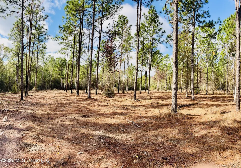 E Beasley Road Lucedale, MS 39452