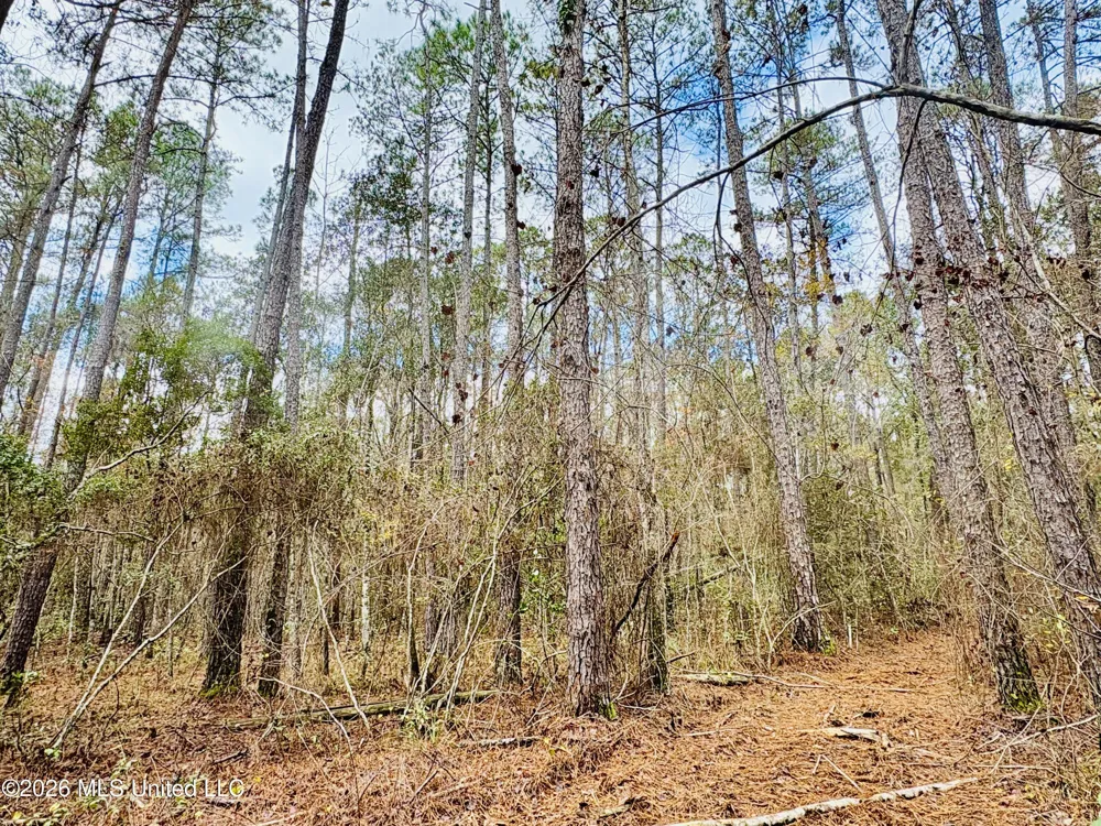 E Beasley Road Lucedale, MS 39452