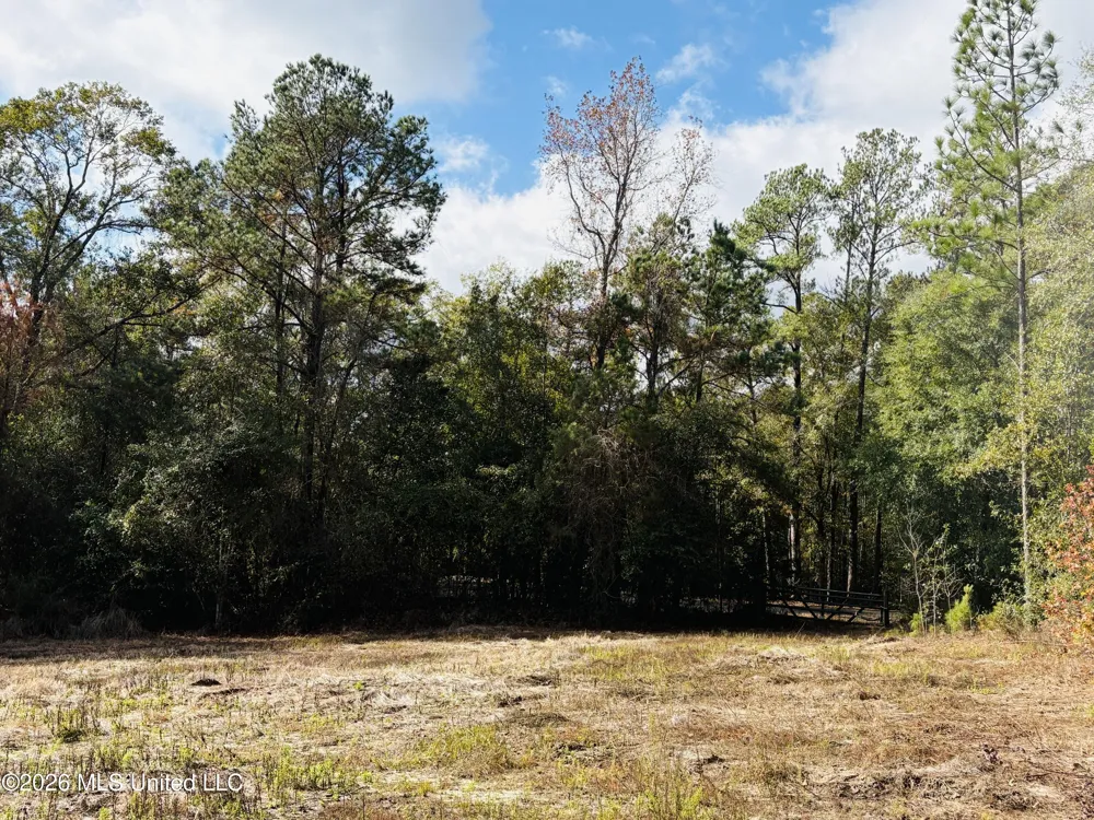 E Beasley Road Lucedale, MS 39452