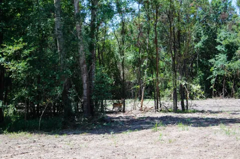 1 Acres Greenbriar Road