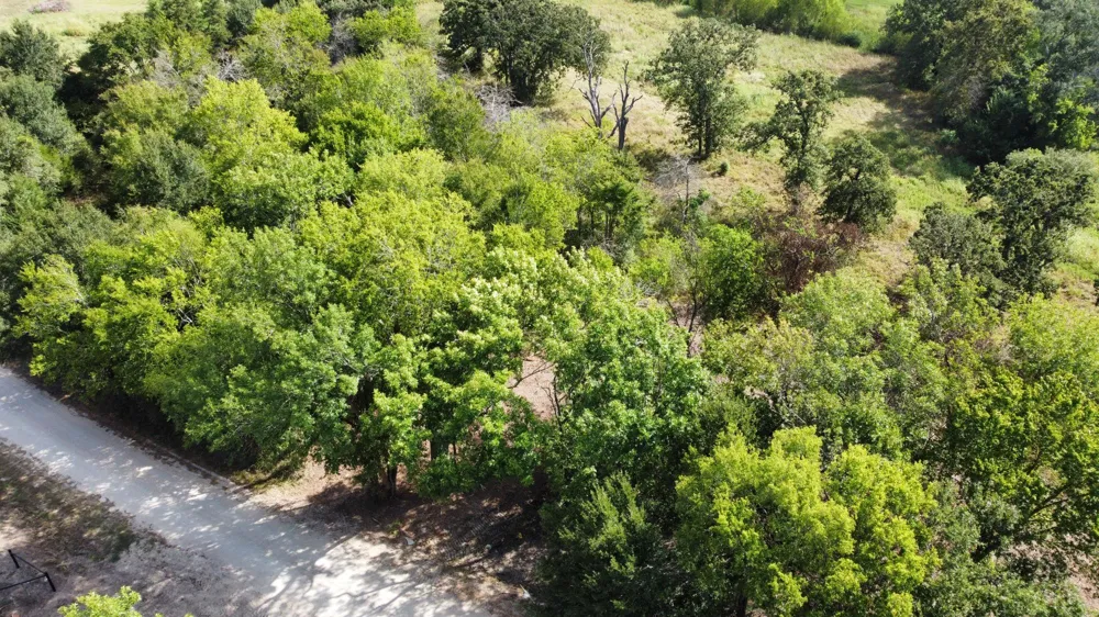 1 Acres Greenbriar Road Madisonville, TX 77864