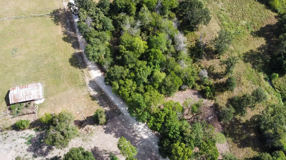 1 Acres Greenbriar Road Madisonville, TX 77864