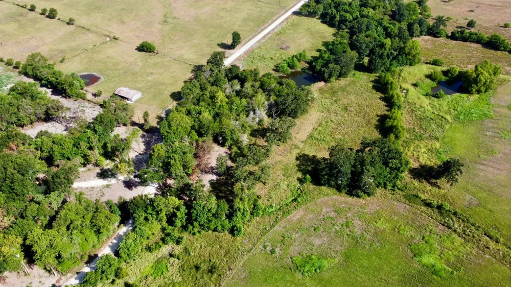 1 Acres Greenbriar Road Madisonville, TX 77864