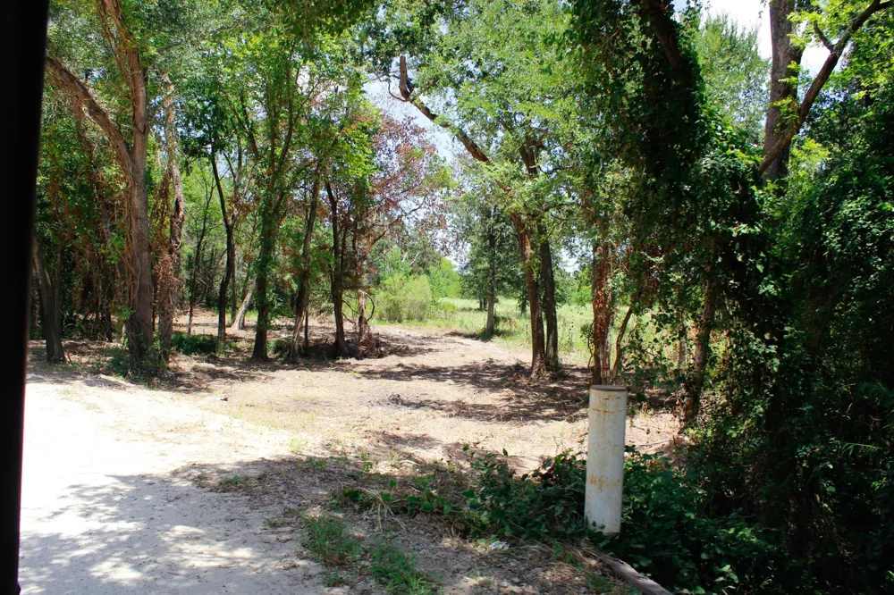 1 Acres Greenbriar Road Madisonville, TX 77864