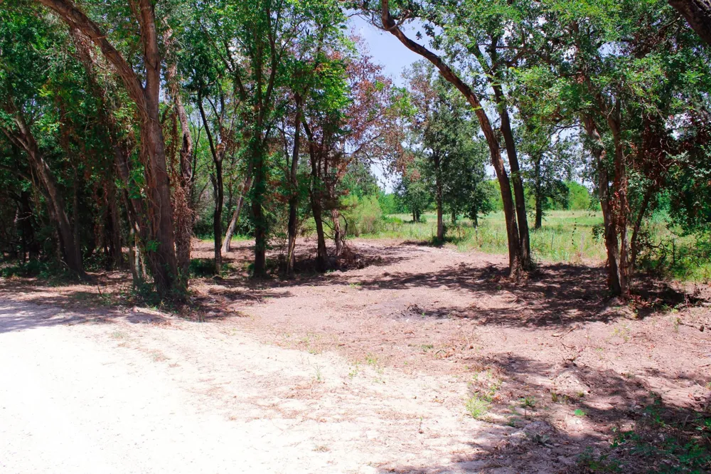 1 Acres Greenbriar Road Madisonville, TX 77864