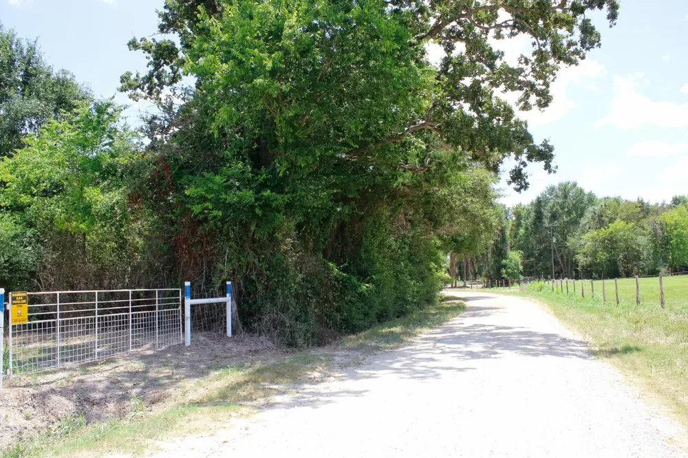 1 Acres Greenbriar Road Madisonville, TX 77864
