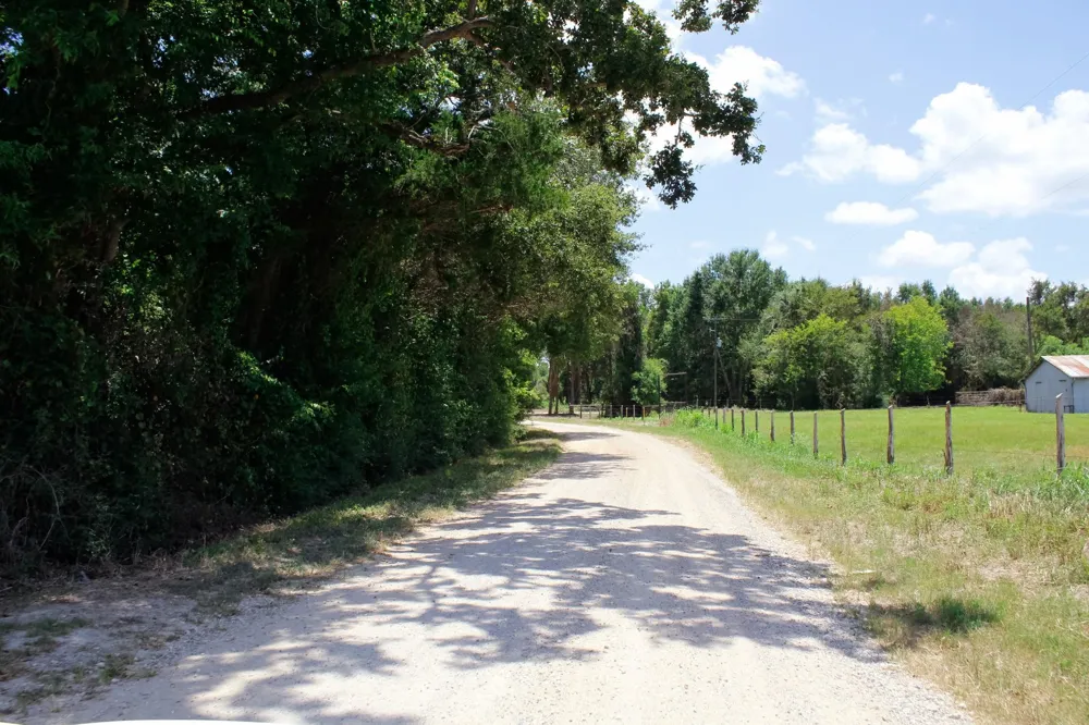 1 Acres Greenbriar Road Madisonville, TX 77864