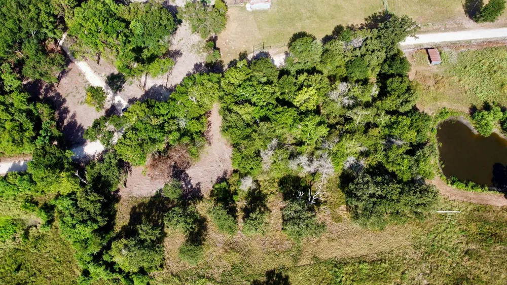 1 Acres Greenbriar Road Madisonville, TX 77864