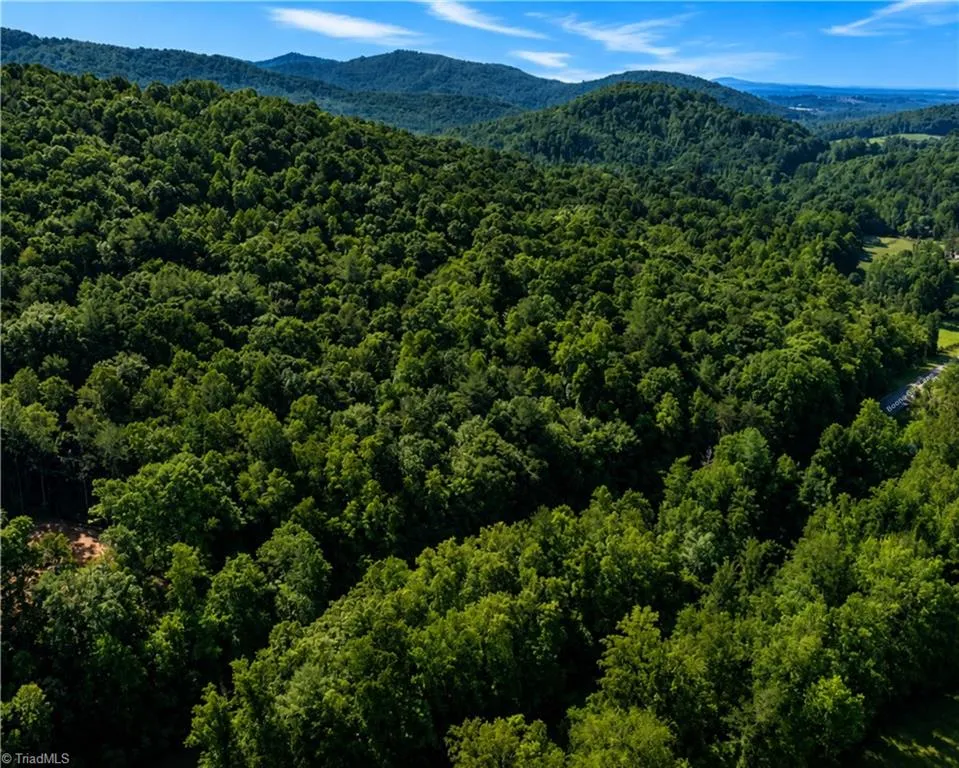 00-00 (9.99 Acres) Boone Gap Lane #Tract-2/BLOCK 1218 Taylorsville, NC 28681