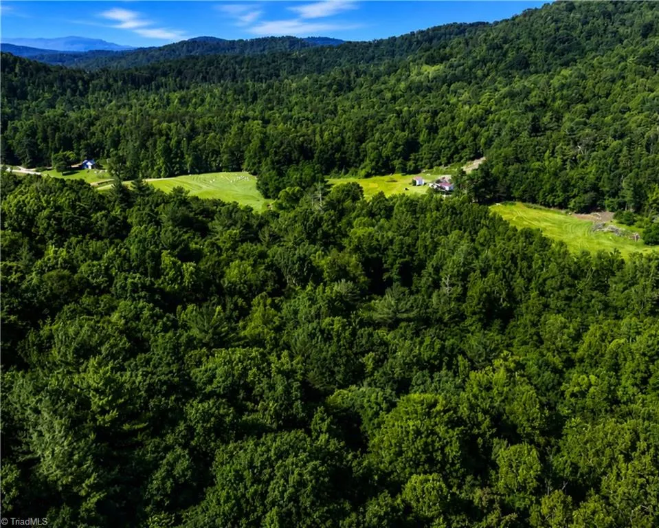 00-00 (9.99 Acres) Boone Gap Lane #Tract-2/BLOCK 1218 Taylorsville, NC 28681
