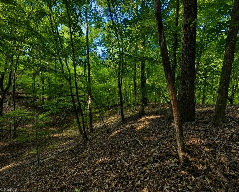 00-00 (9.99 Acres) Boone Gap Lane #Tract-2/BLOCK 1218 Taylorsville, NC 28681
