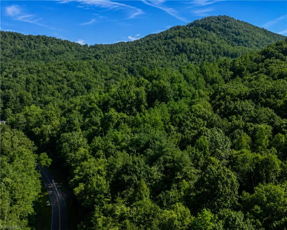 00-00 (9.99 Acres) Boone Gap Lane #Tract-2/BLOCK 1218 Taylorsville, NC 28681