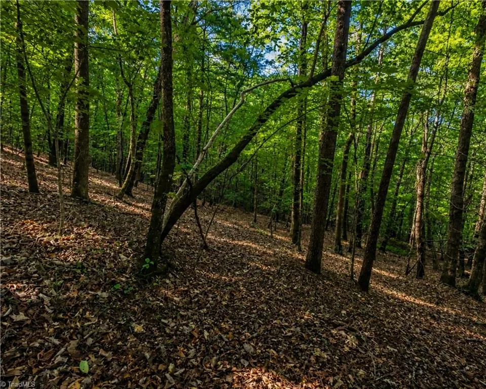00-00 (9.99 Acres) Boone Gap Lane #Tract-2/BLOCK 1218 Taylorsville, NC 28681