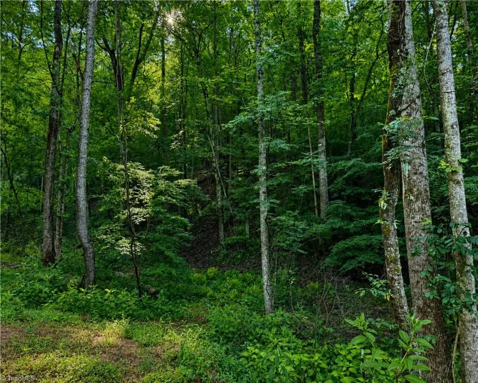 00-00 (9.99 Acres) Boone Gap Lane #Tract-2/BLOCK 1218 Taylorsville, NC 28681