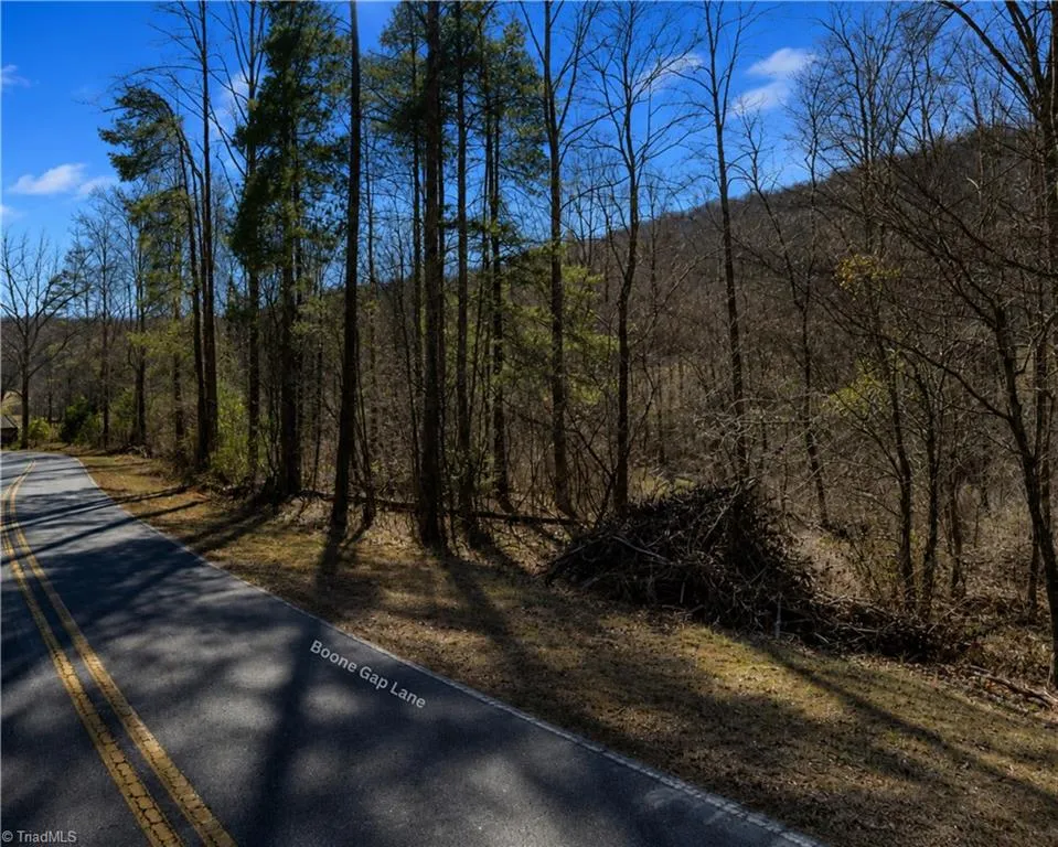 00-00 (9.99 Acres) Boone Gap Lane #Tract-2/BLOCK 1218 Taylorsville, NC 28681