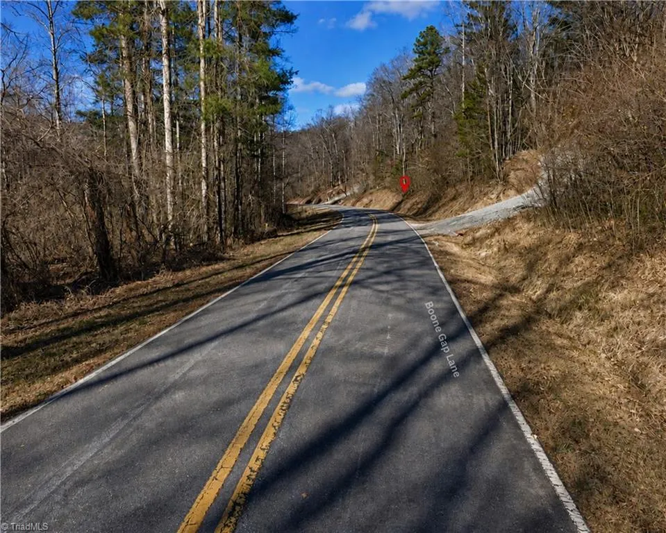 00-00 (9.99 Acres) Boone Gap Lane #Tract-2/BLOCK 1218 Taylorsville, NC 28681