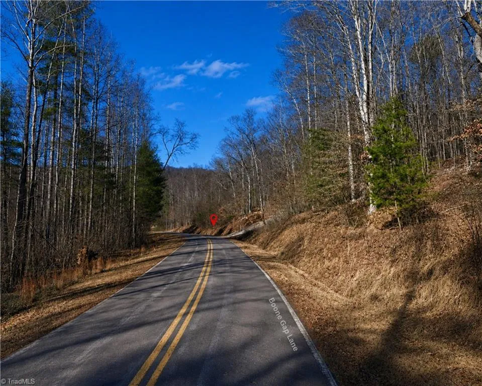 00-00 (9.99 Acres) Boone Gap Lane #Tract-2/BLOCK 1218 Taylorsville, NC 28681