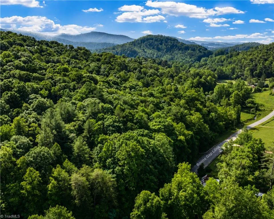 00-00 (9.99 Acres) Boone Gap Lane #Tract-2/BLOCK 1218 Taylorsville, NC 28681