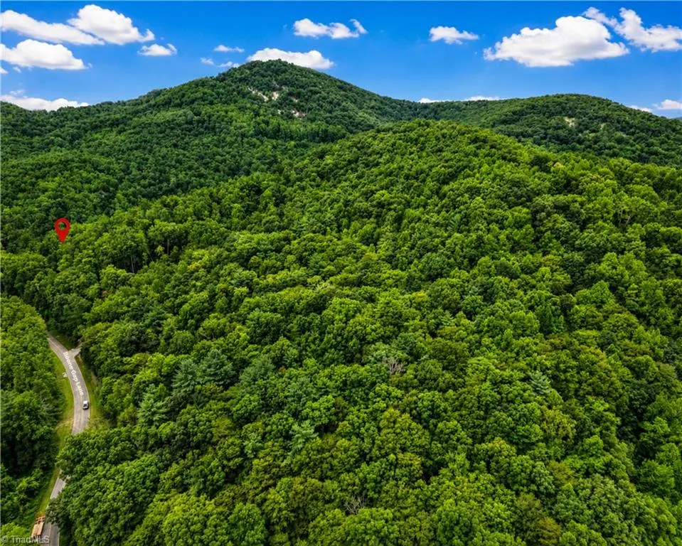 00-00 (9.99 Acres) Boone Gap Lane #Tract-2/BLOCK 1218 Taylorsville, NC 28681