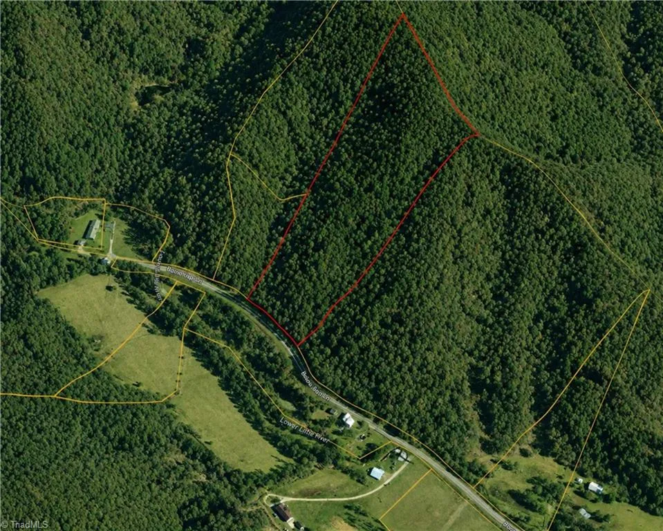 00-00 (9.99 Acres) Boone Gap Lane #Tract-2/BLOCK 1218 Taylorsville, NC 28681