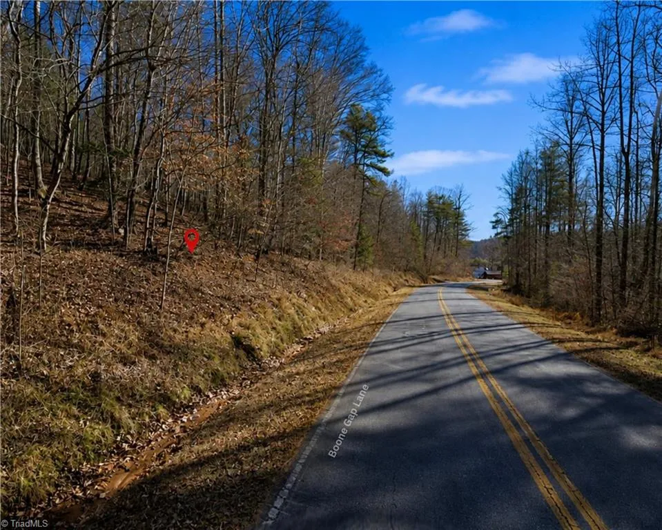 00-00 (9.99 Acres) Boone Gap Lane #Tract-2/BLOCK 1218 Taylorsville, NC 28681