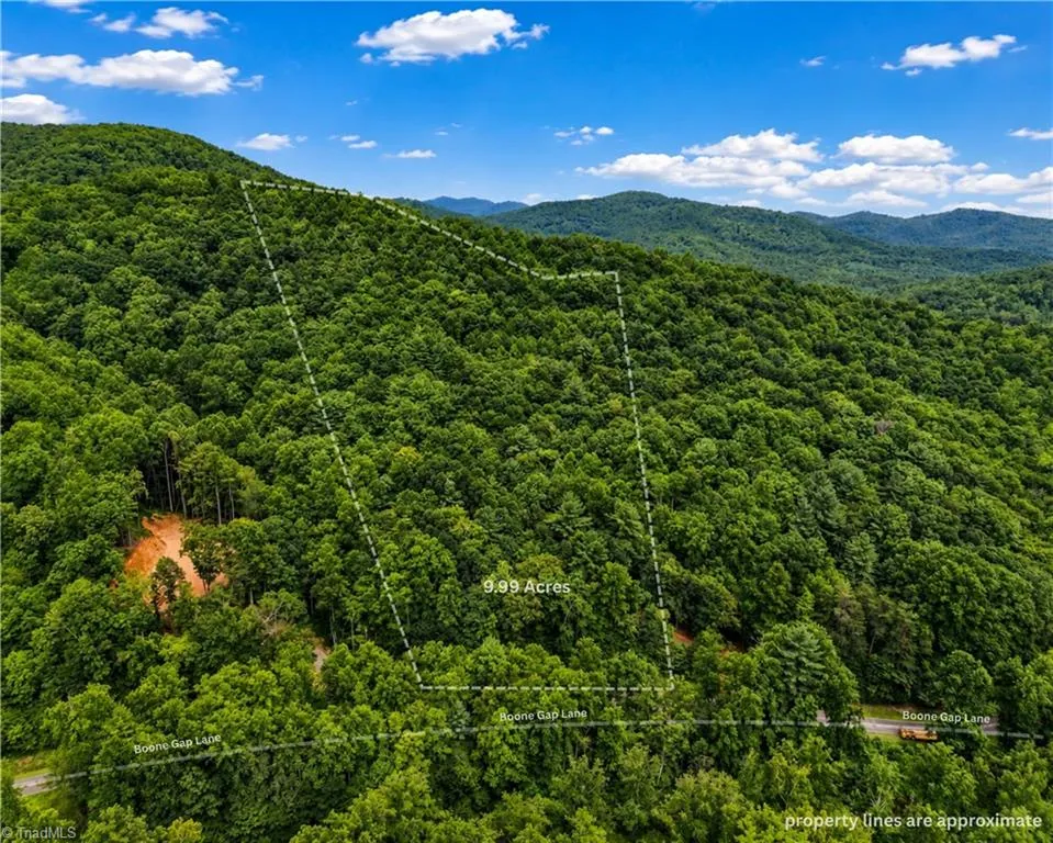 00-00 (9.99 Acres) Boone Gap Lane #Tract-2/BLOCK 1218 Taylorsville, NC 28681