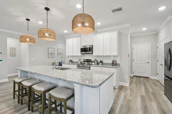 25875 SHAWNEE STREET Mount Plymouth, FL 32776
