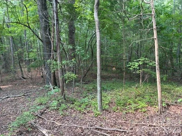 4501 Highway 5 Highway Rock Hill, SC 29732