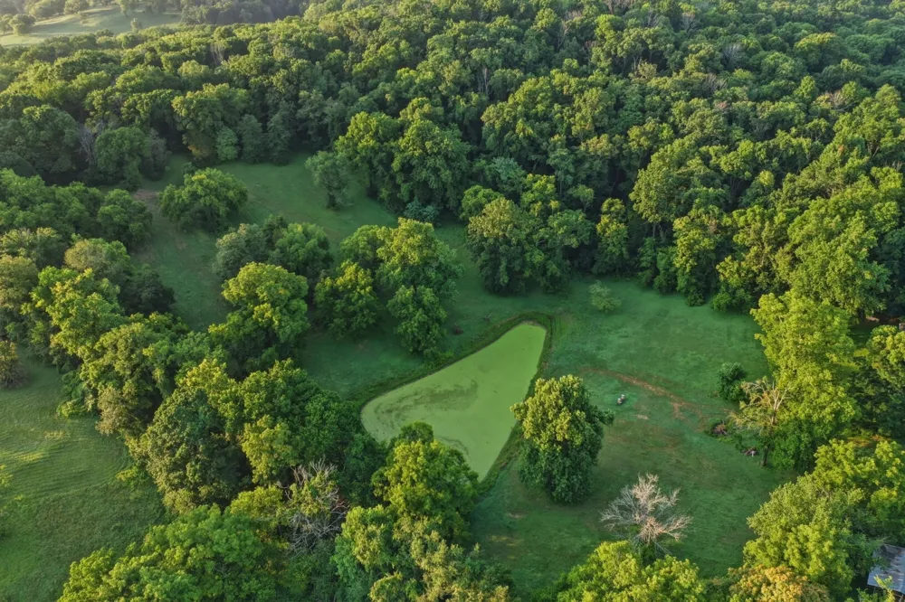 4442 Pratt Ln Franklin, TN 37064