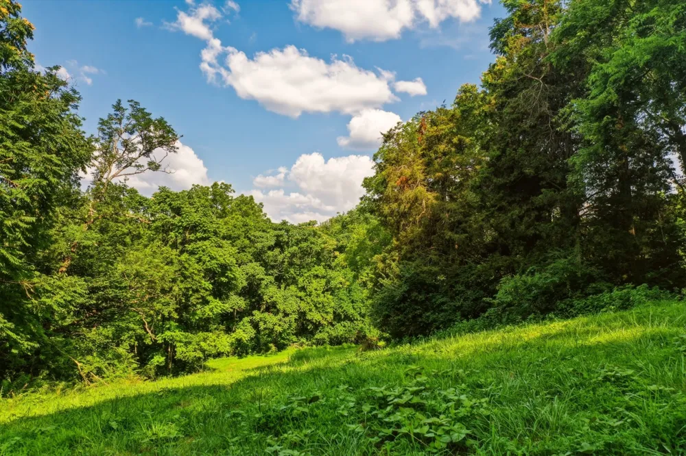 4442 Pratt Ln Franklin, TN 37064