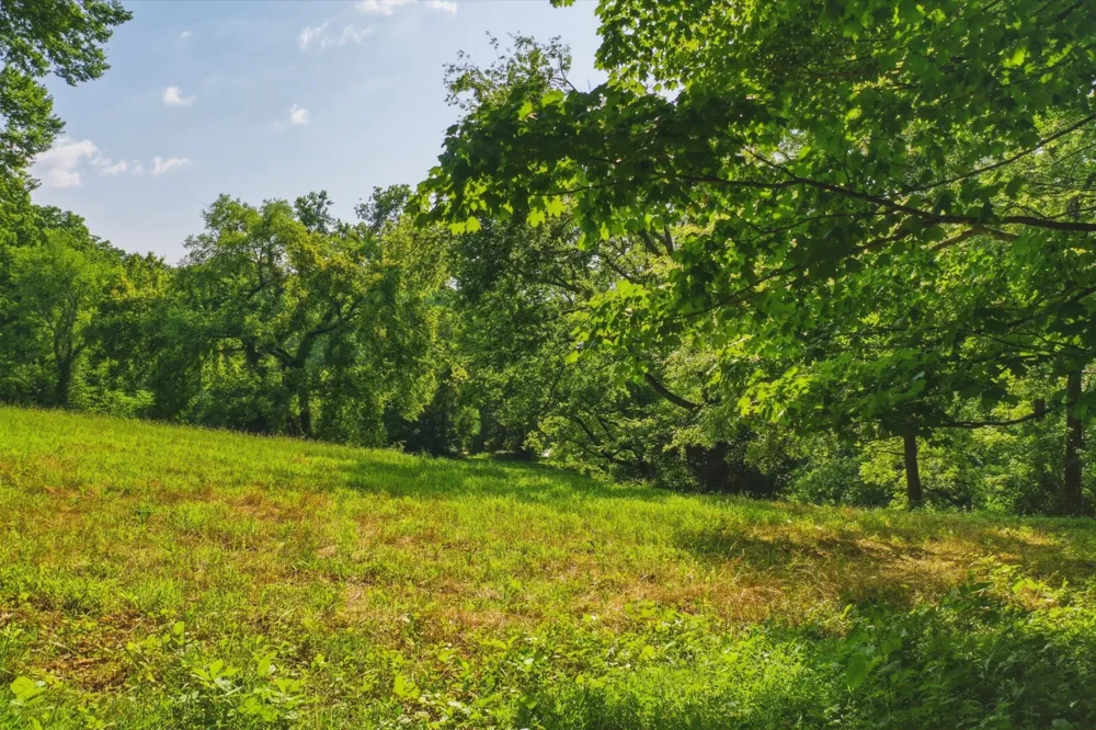 4442 Pratt Ln Franklin, TN 37064