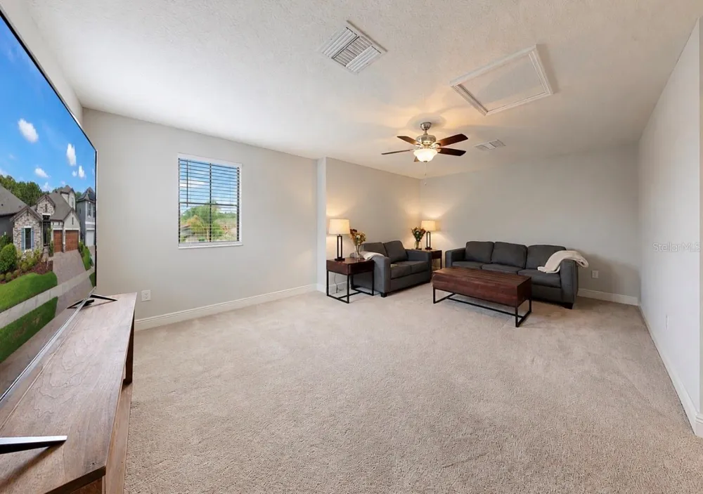 13211 WILDFLOWER MEADOW DRIVE Riverview, FL 33579