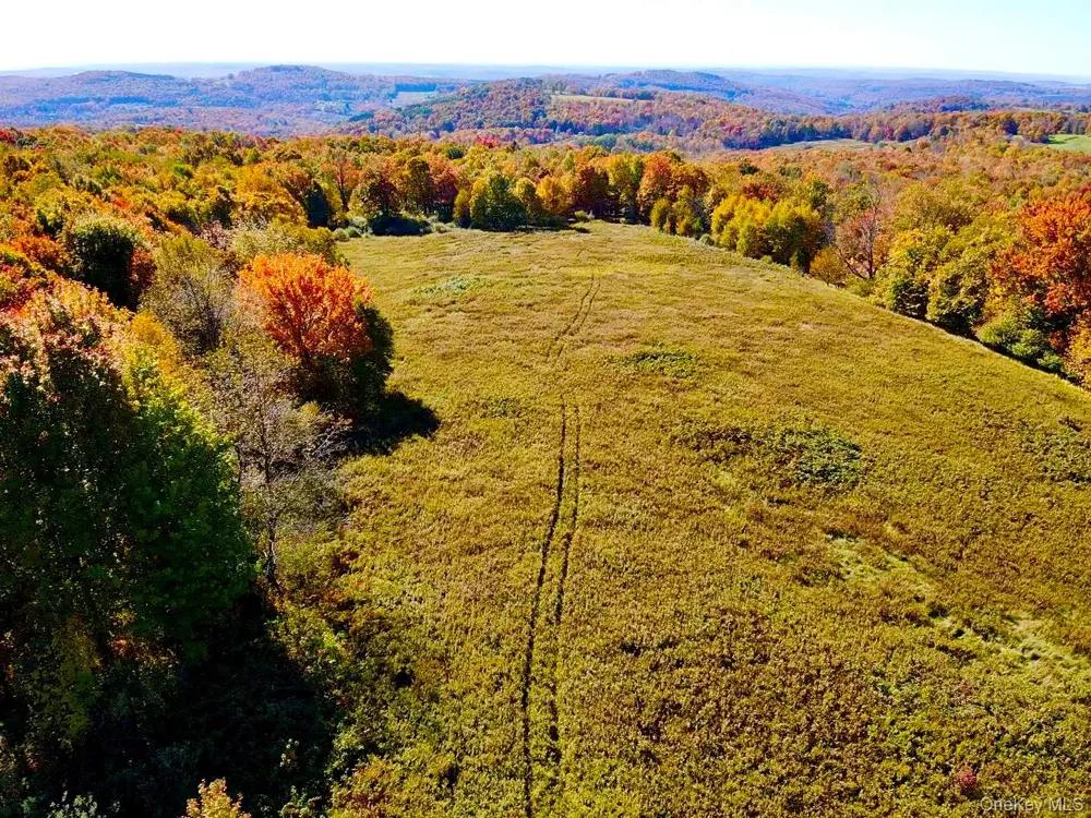 344 Midway Road Livingston Manor, NY 12758