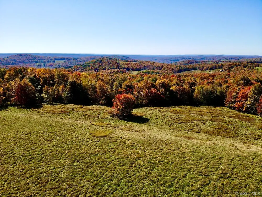 344 Midway Road Livingston Manor, NY 12758