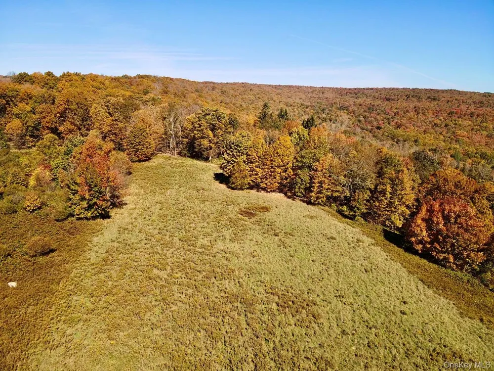 344 Midway Road Livingston Manor, NY 12758