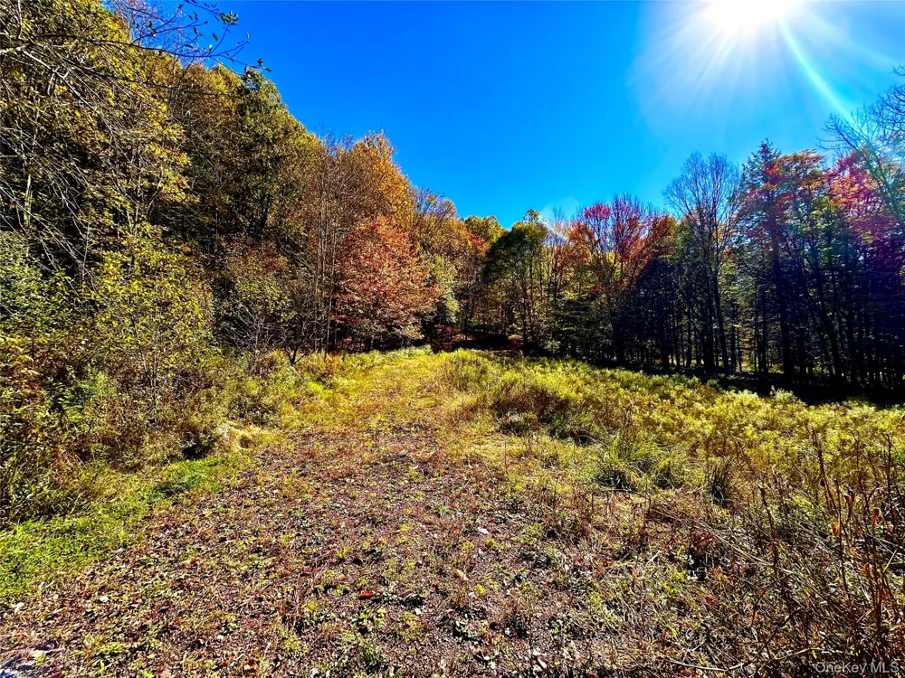 344 Midway Road Livingston Manor, NY 12758