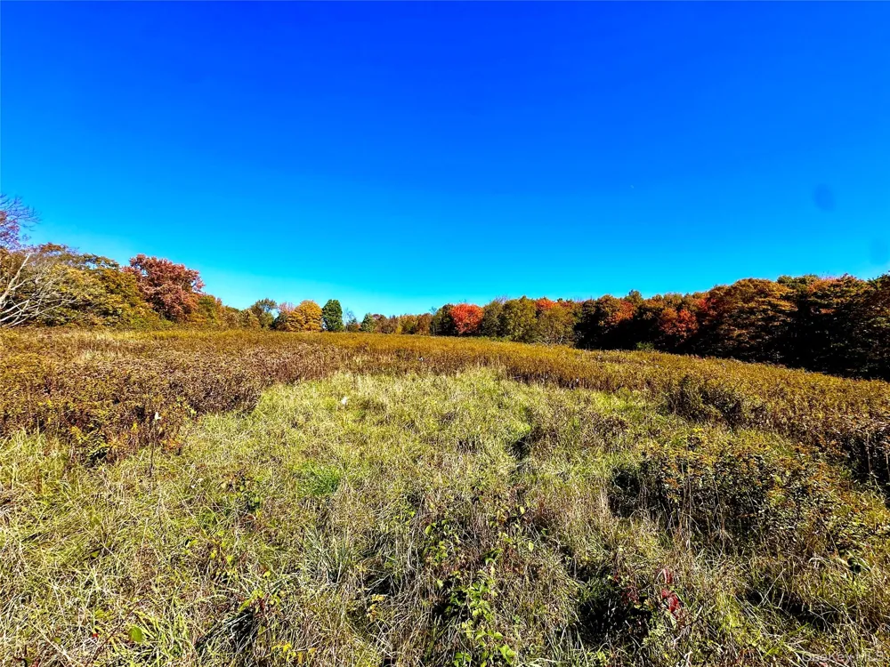 344 Midway Road Livingston Manor, NY 12758
