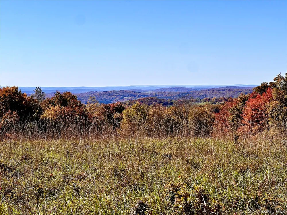 344 Midway Road Livingston Manor, NY 12758