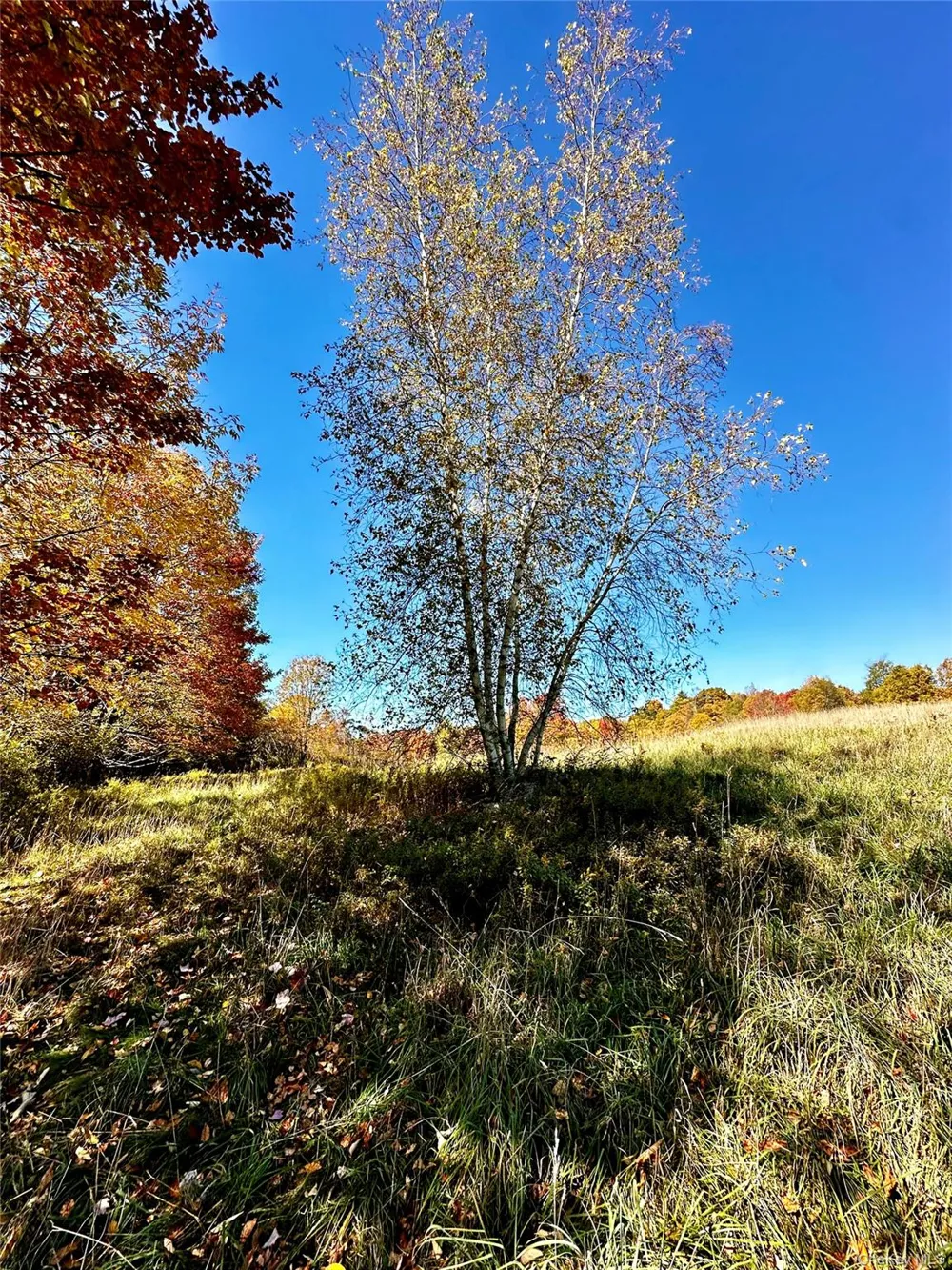 344 Midway Road Livingston Manor, NY 12758