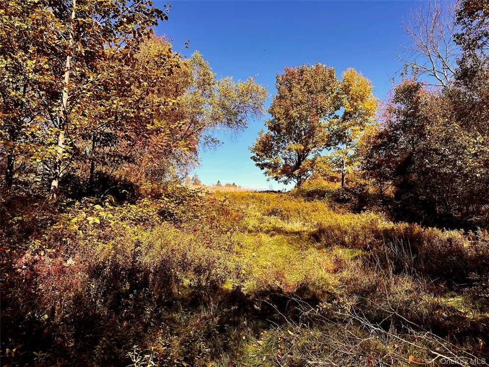 344 Midway Road Livingston Manor, NY 12758