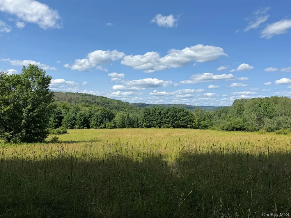 Bert Medlar Road Hancock, NY 13783